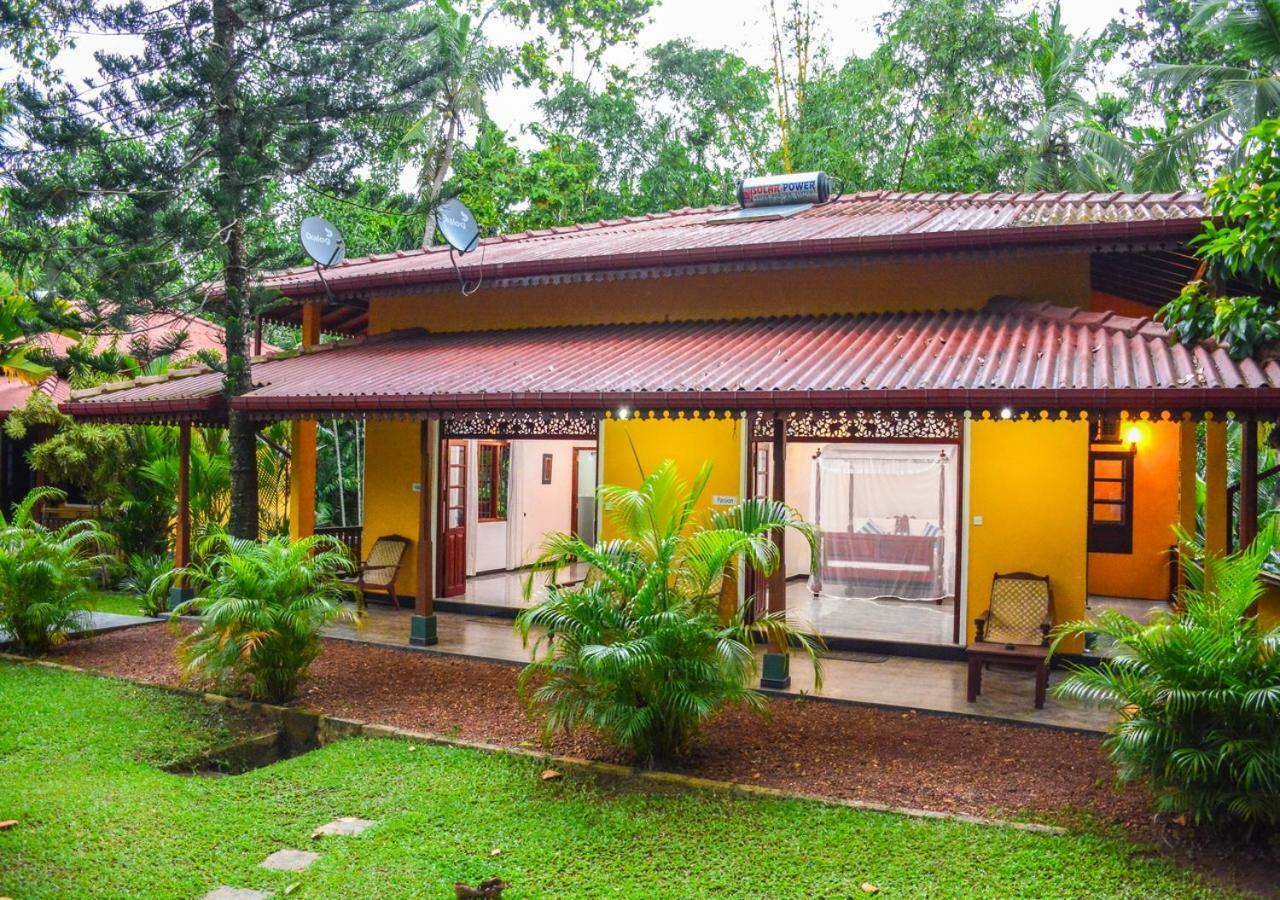 Araliya Gardens Hotel Hikkaduwa Luaran gambar